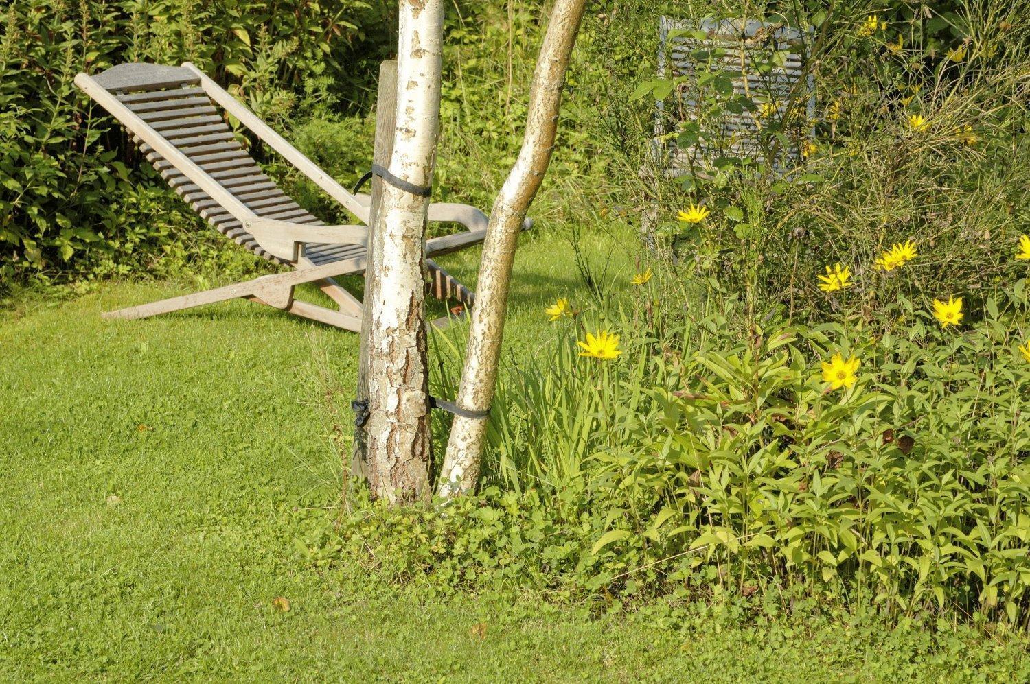 B&B Le Clos De La Fontaine Chéoux Zewnętrze zdjęcie